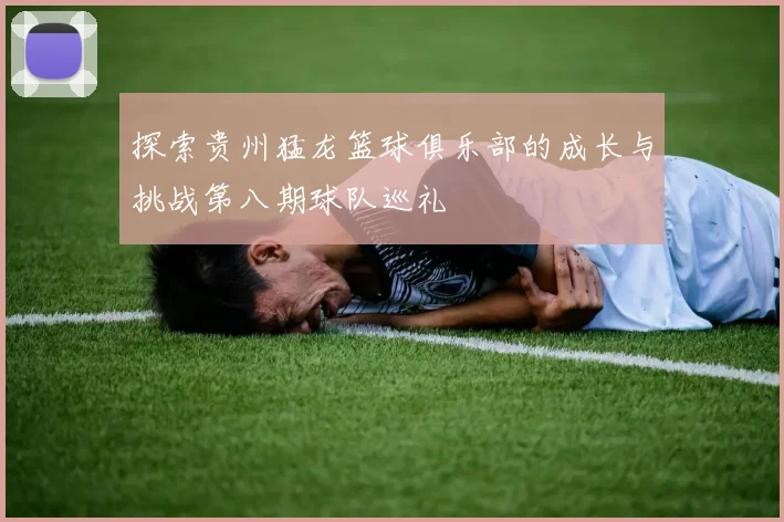 探索贵州猛龙篮球俱乐部的成长与挑战第八期球队巡礼