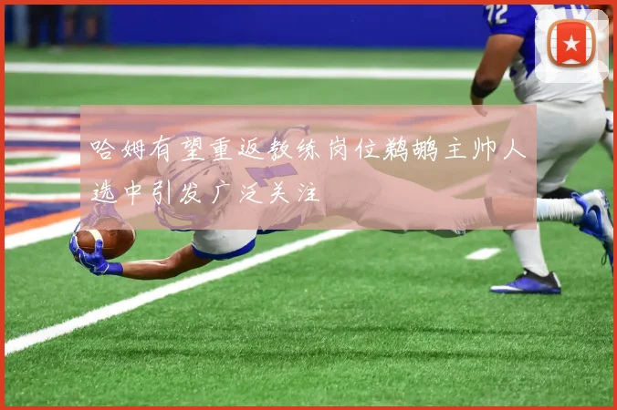 哈姆有望重返教练岗位鹈鹕主帅人选中引发广泛关注
