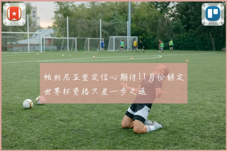 帕利尼亚坚定信心期待11月份锁定世界杯资格只差一步之遥